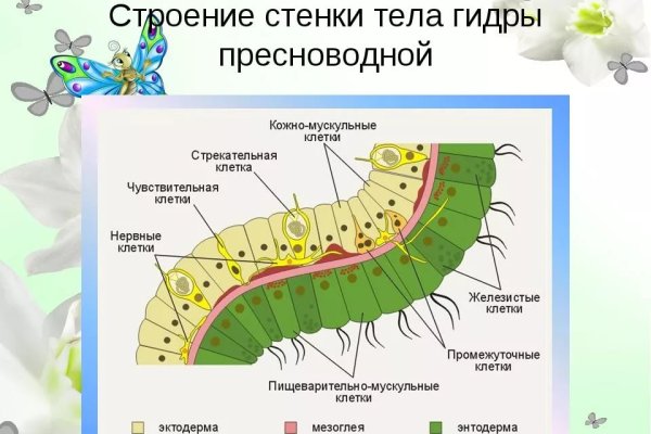 Свежие ссылки кракен