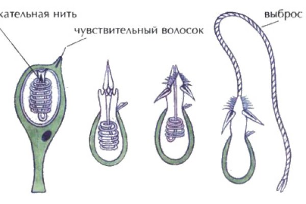 Кракен сайт kr2web in официальный ссылка
